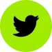 Twitter icon